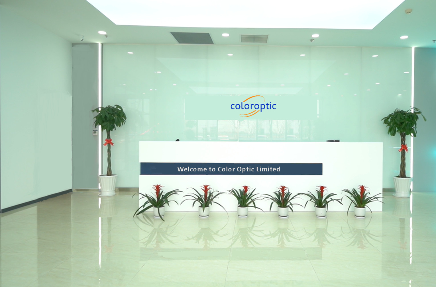 Китай Color Optic Limited Профиль компании