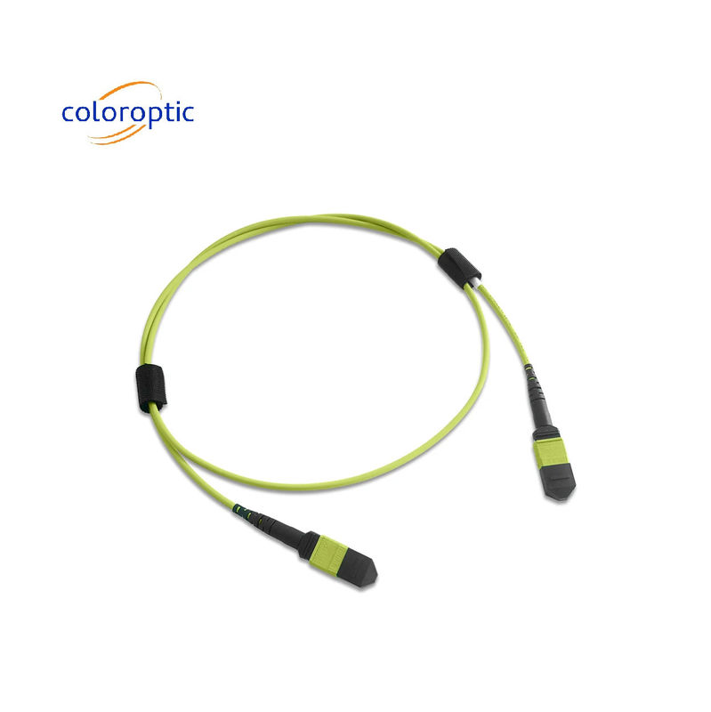 Мультиволоконный MPO Patch Cord PVC Jacket 12 Core OM5 Женщина к Женщине Коннектор PC Полировка